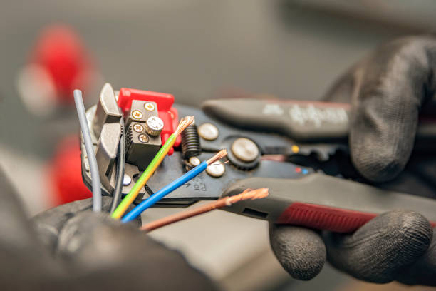 Best Electric Panel Repair  in Pepeekeo, HI