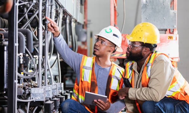Best 24-Hour Electrician  in Pepeekeo, HI