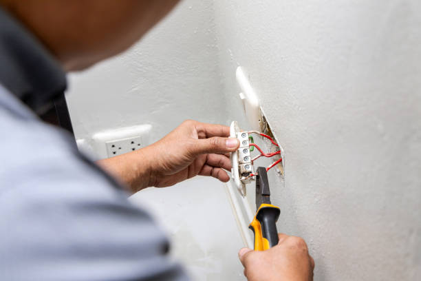 Best Residential Electrician Services  in Pepeekeo, HI